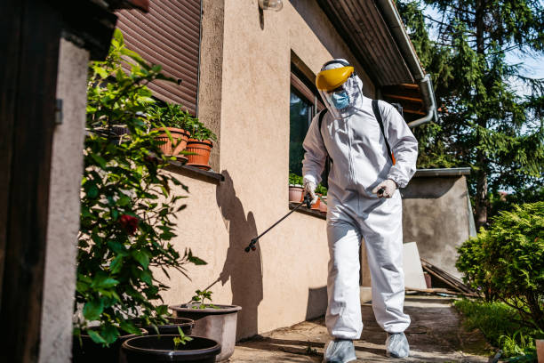 Best Best Pest Control Companies  in Plainedge, NY
