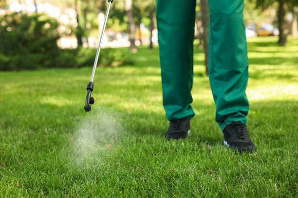 Best Best Pest Control Companies  in Plainedge, NY