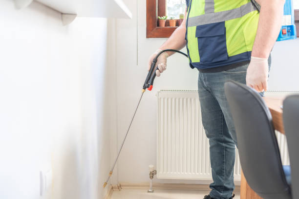 Best Pest Removal Services  in Plainedge, NY